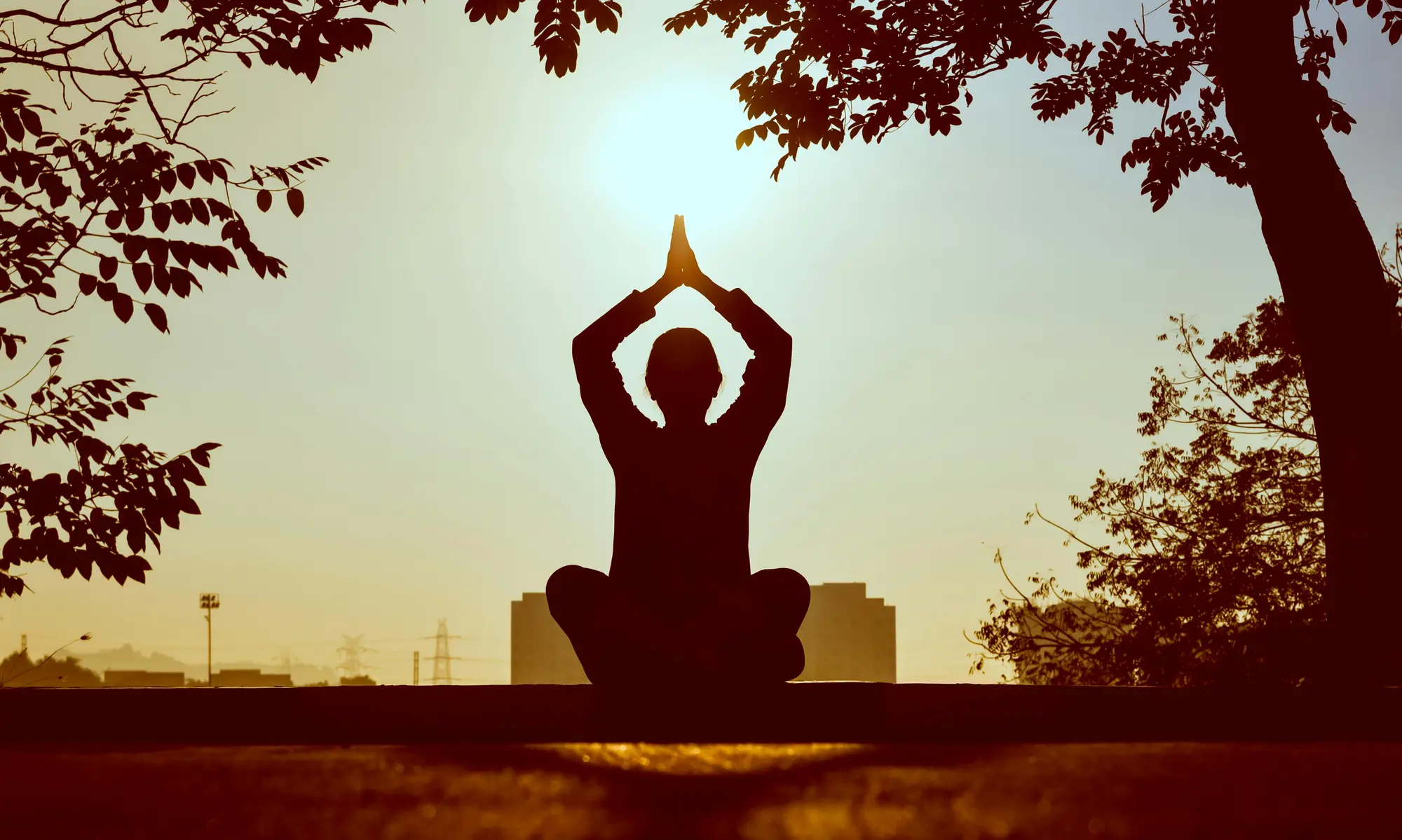 man doing yoga while sitting under a tree